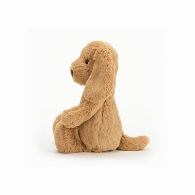 Jellycat Bashful Toffee Dog USA | 61750OPWJ